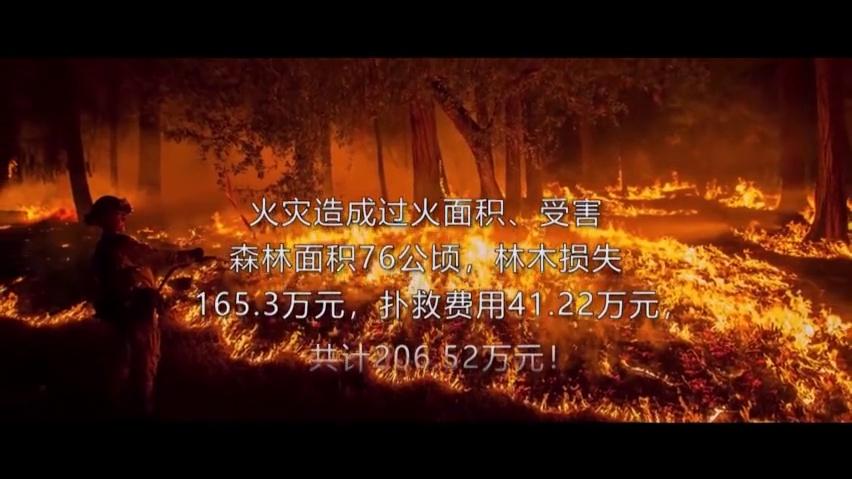 [图]森林草原防灭火：防火于未燃，森林防火人人有责
