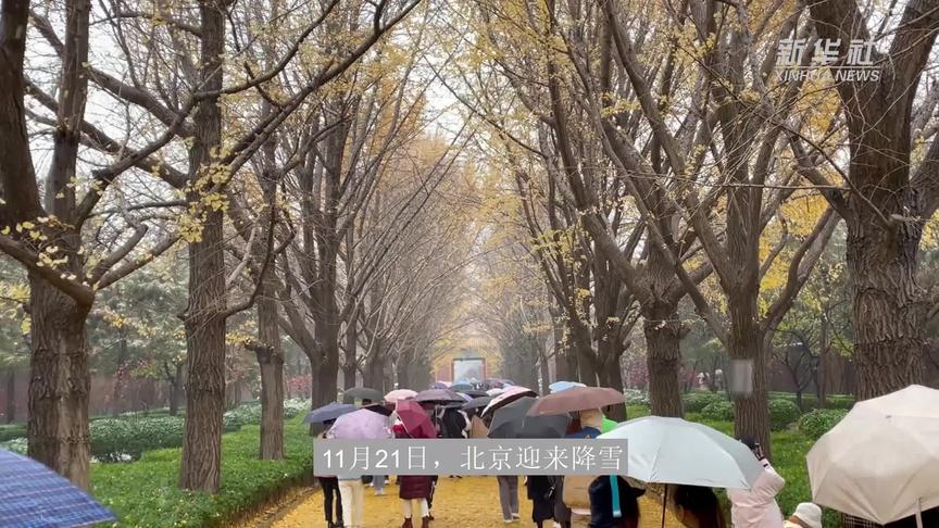 [图]又见京城飞雪！