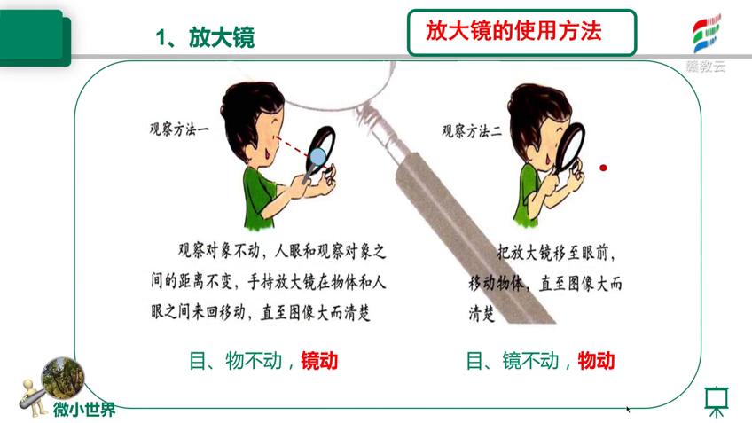 [图]六年级科学(教科版)《第一单元微小世界》