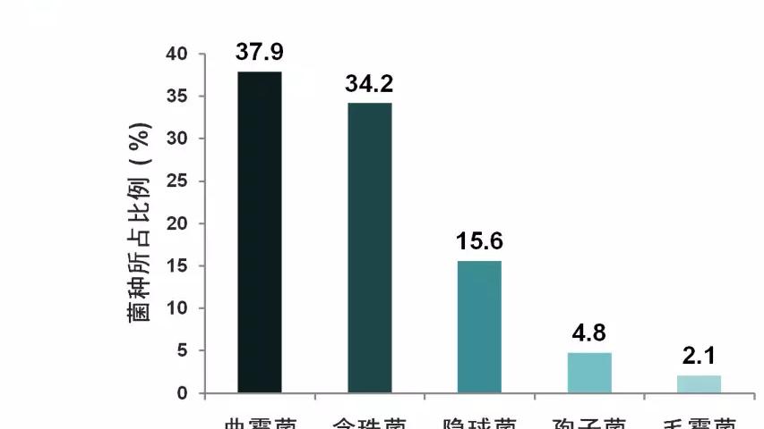 [图]如何根据诊断要素、实际病例捋清侵袭性肺部真菌感染的诊治思路？