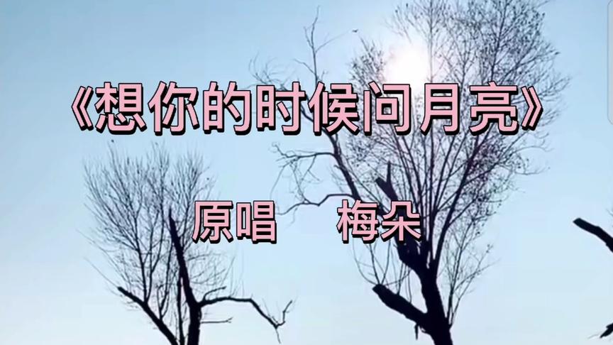 [图]梅朵《想你的时候问月亮》想你的夜晚总是很漫长，声声动听！