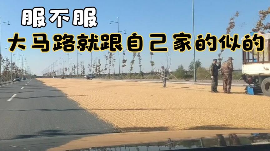 [图]黑龙江省会哈尔滨公路奇葩不？豪横不？晒粮占大部分公路被逼逆行