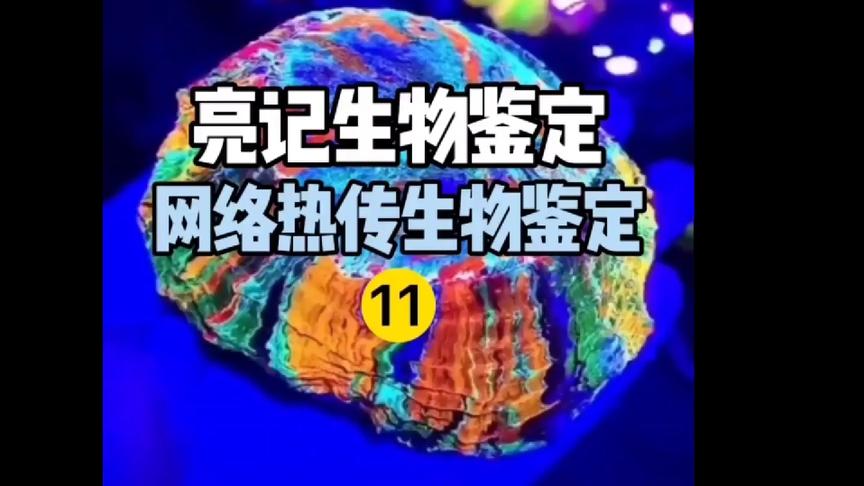 [图]网络热门生物鉴定