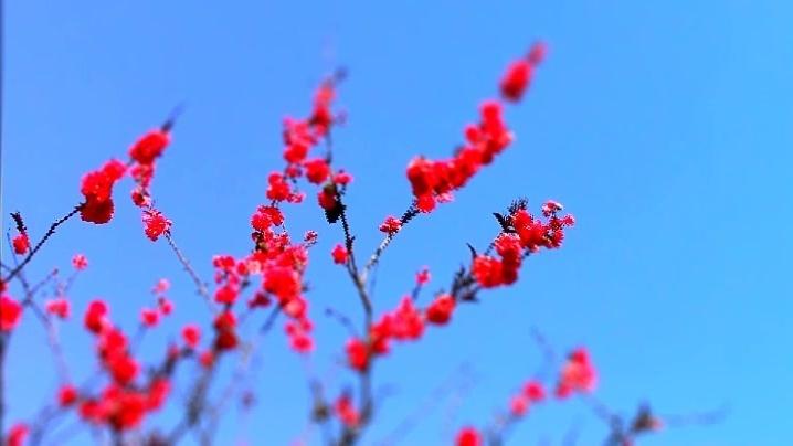 [图]回到地球《在一天结束的时候》At the End of the Day