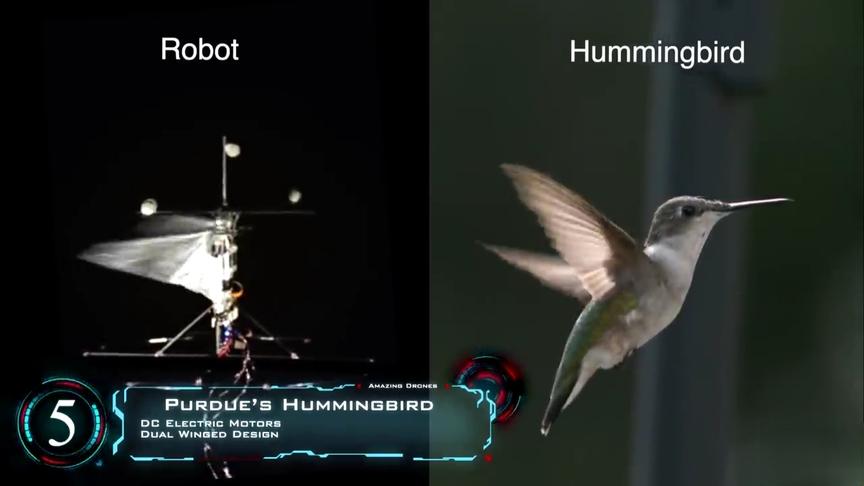 [图]无人机中的7大神奇发明，仿生设计源于自然
