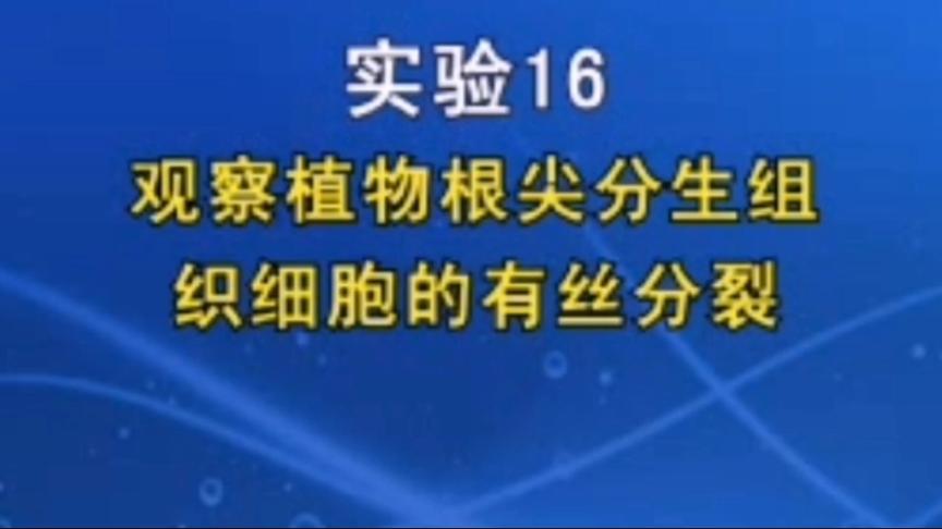 [图]高中生物实验视频合集——观察植物根尖分生组织细胞的有丝分裂