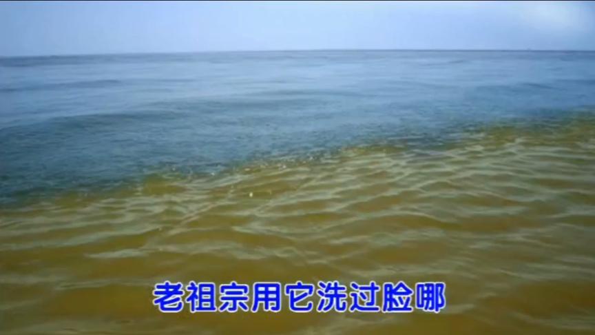 [图]黄河入海口.山东东营.老两口环中国自驾游