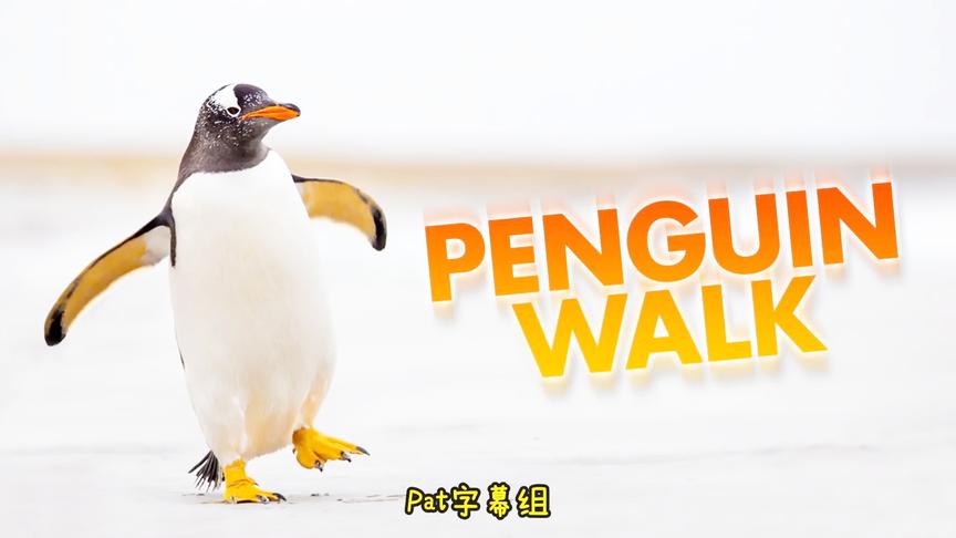 [图]超级好玩好听的英语儿歌 企鹅走路歌 Do the Penguin Walk