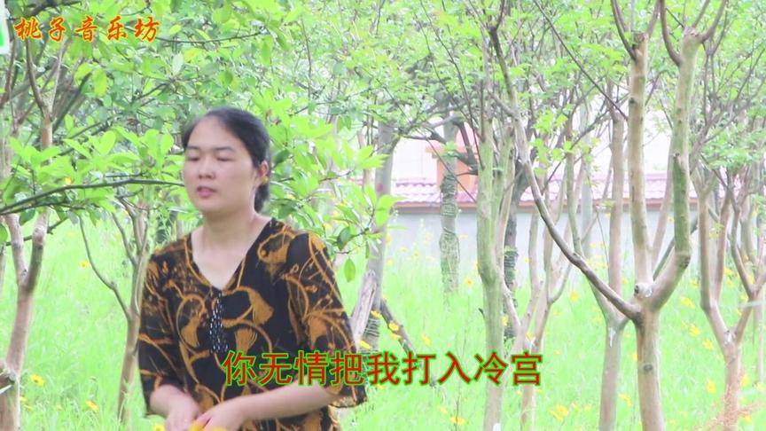 [图]莺声婉转，《寂寞红尘》热情洋溢