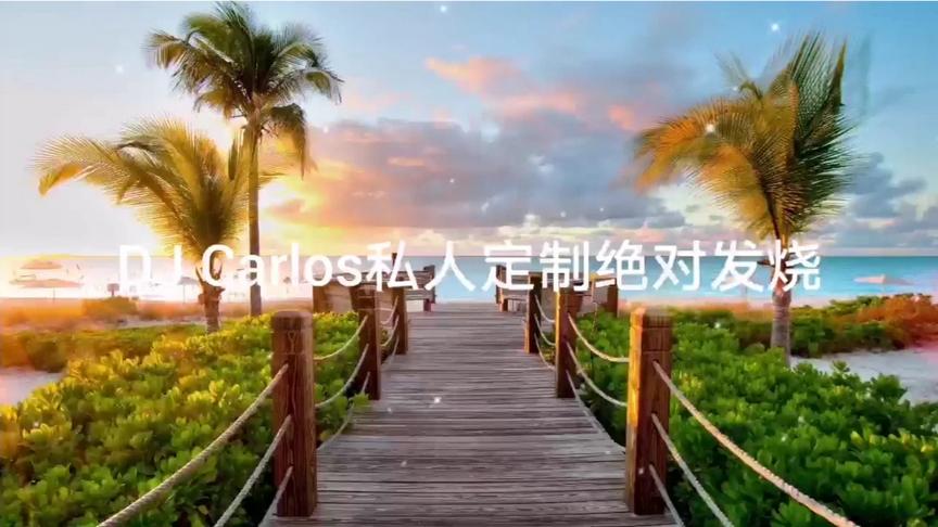 [图]DJ Carlos 2020客户定制绝对发烧cd HiFi女声…