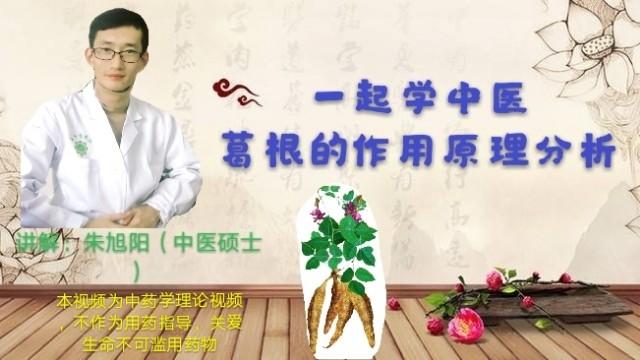 [图]药食两用的葛根，到底是生津液还是伤津液，且听中医为您分析讲解