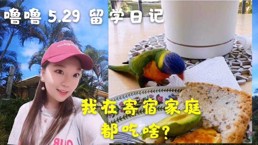 [图]噜噜5.29留学日记|留学住寄宿家庭每天饭菜营养搭配有讲究？