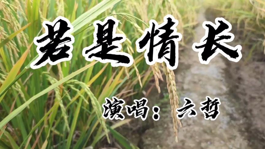 [图]歌曲《若是情长》，各自江湖别来无恙，六哲的演唱真好听