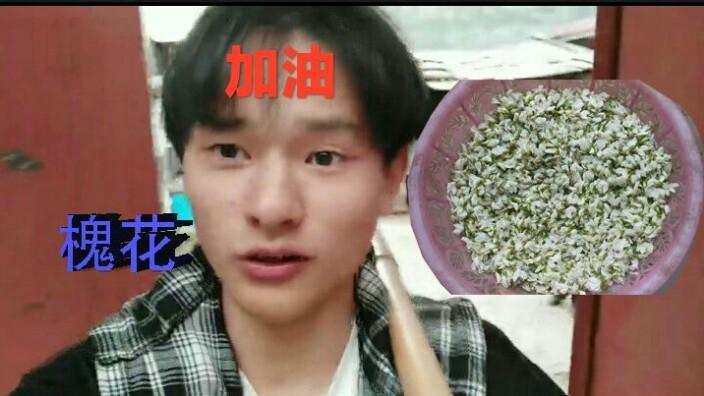 [图]槐花香飘飘 你平时吃不到的美味