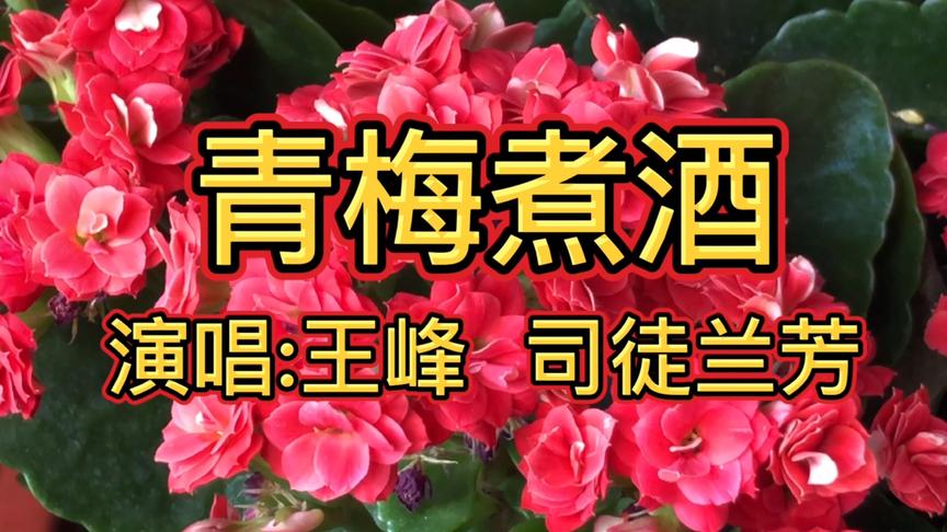 [图]《青梅煮酒》芬芳幽幽住在你心间，情丝绵绵与你共婵娟！好听极了