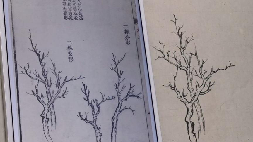 [图]国画山水入门芥子园画谱之树法（二）