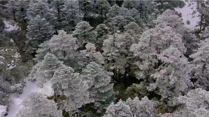 [图]飘雪的季节