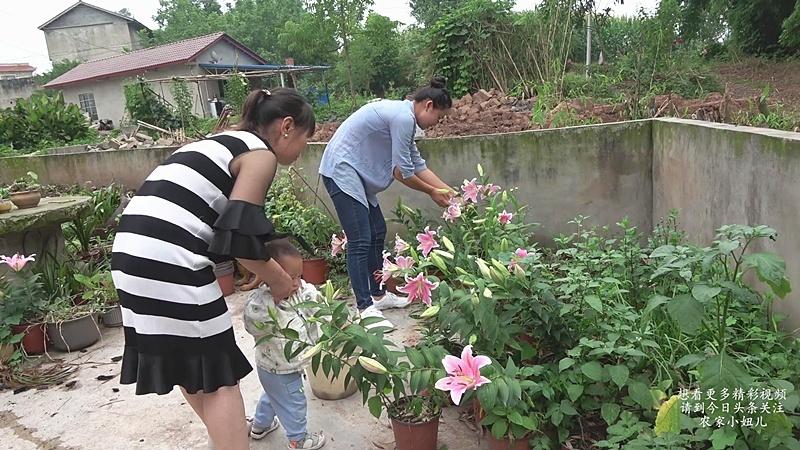 [图]农家小院香水百合开啦，花痴小妞爱不释手，不知小满激动个什么劲