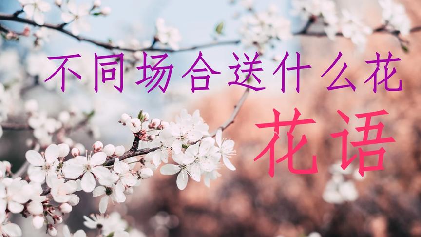 [图]简懂笔记⎮花语⎮不同场合送什么花⎮花的品种和知识⎮鲜花