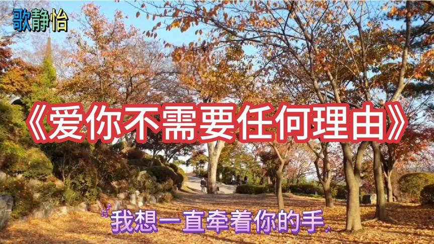 [图]一曲《爱你不需要任何理由》入心贴心舒心的旋律让人心情愉悦！