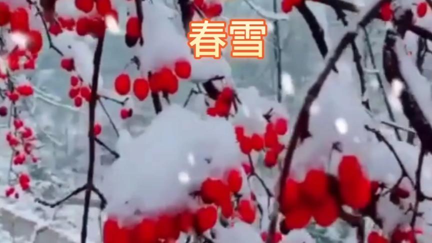 [图]唐诗三百首《春雪》韩愈