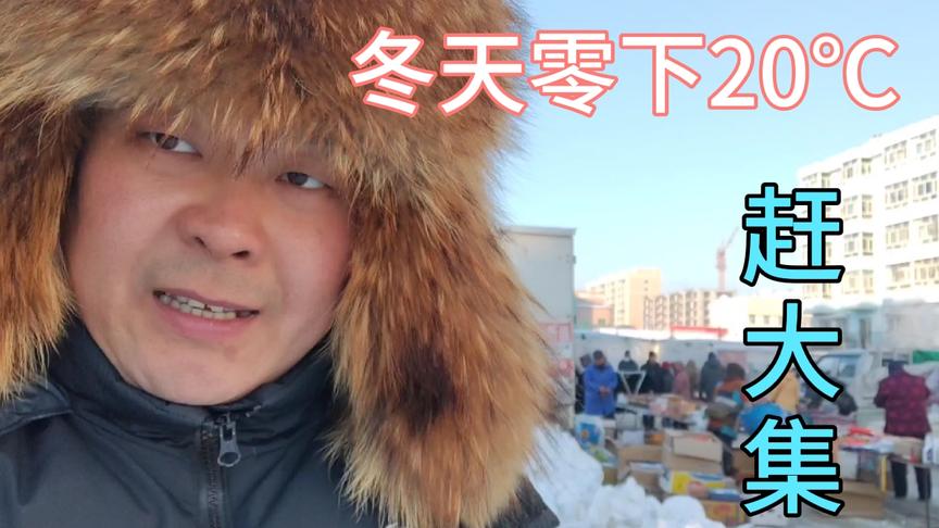 [图]大东北冬天-20℃赶大集，寒冬数九真实的北大荒人生活，太冷了