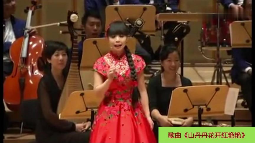 [图]王二妮国外演唱会，与现场观众完成压轴曲目《山丹丹花开红艳艳》