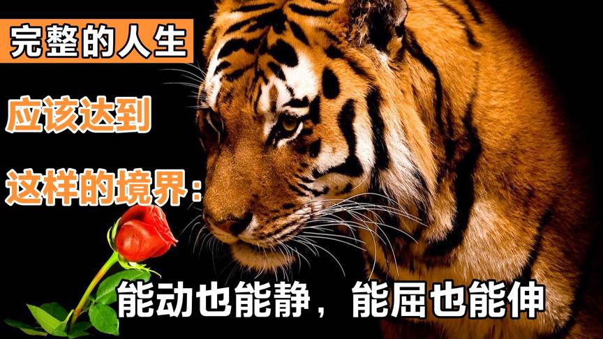 [图]“心有猛虎，细嗅蔷薇”是什么意思？原来这句诗说的就是人生