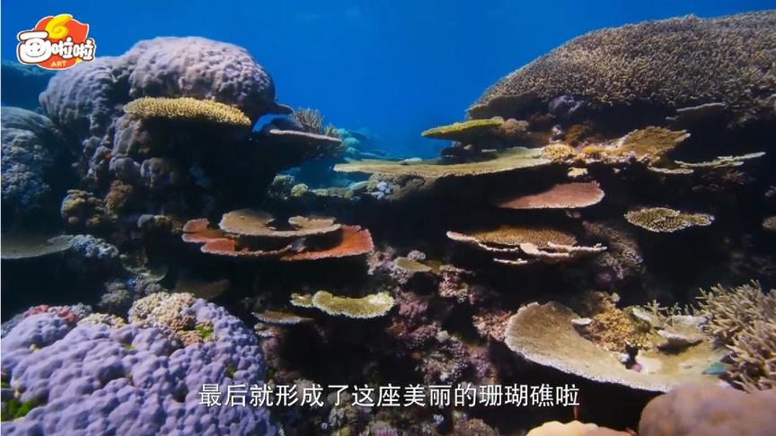 [图]儿童百科 神秘的海底世界