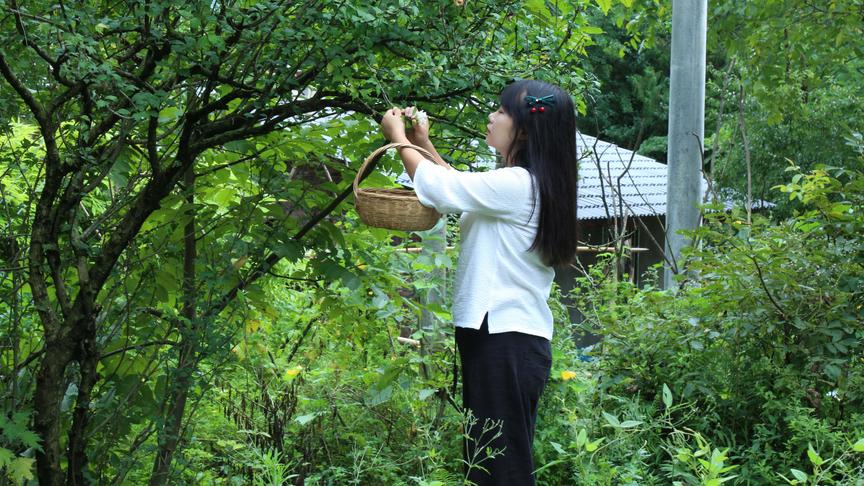 [图]院子里的木槿花开了，做一桌百花宴，吃个够