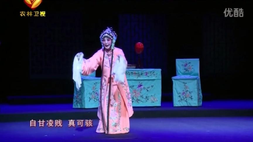 [图]秦腔历史剧《节妇吟》李东桥谭天杏主演