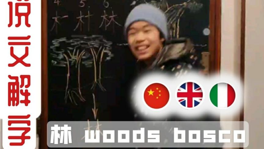 [图]43说文解字（林/woods/bosco）