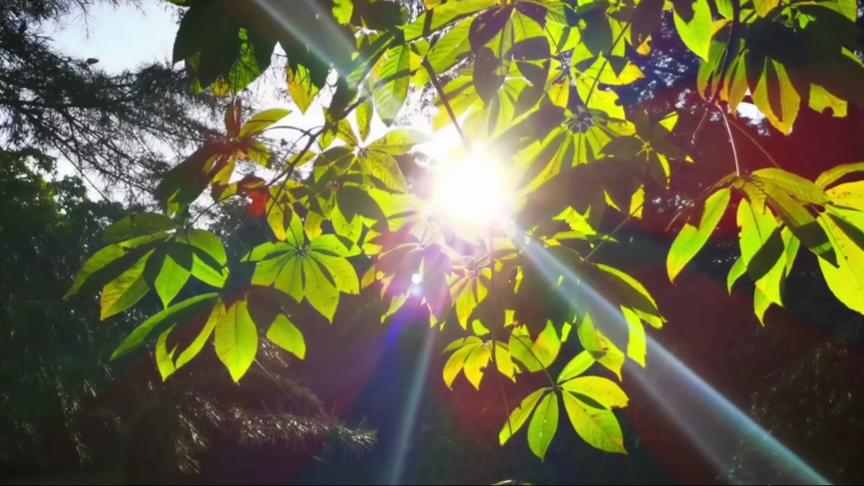 [图]《秋之韵》秋天是收获美的季节