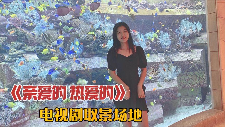 [图]苹果妹打卡失落的空间水族馆，不亏是电视剧取景地，太美了