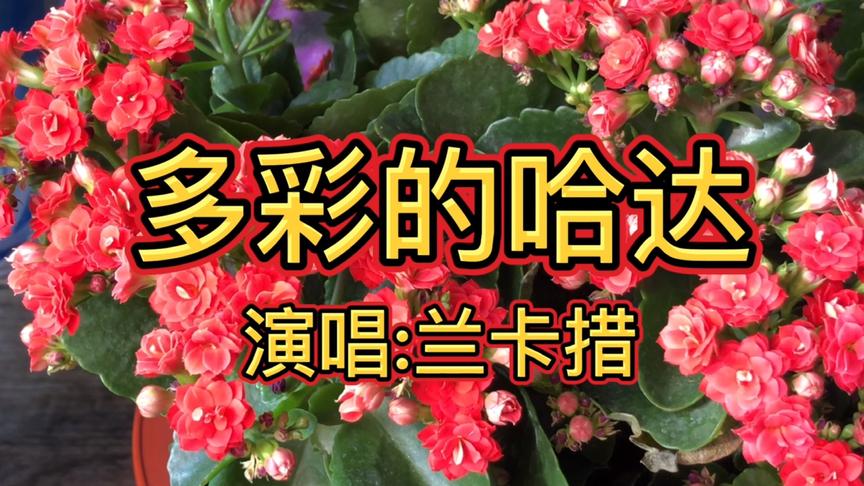 [图]草原歌曲！《多彩的哈达》高亢纯净的声音，美妙动听的旋律，好听