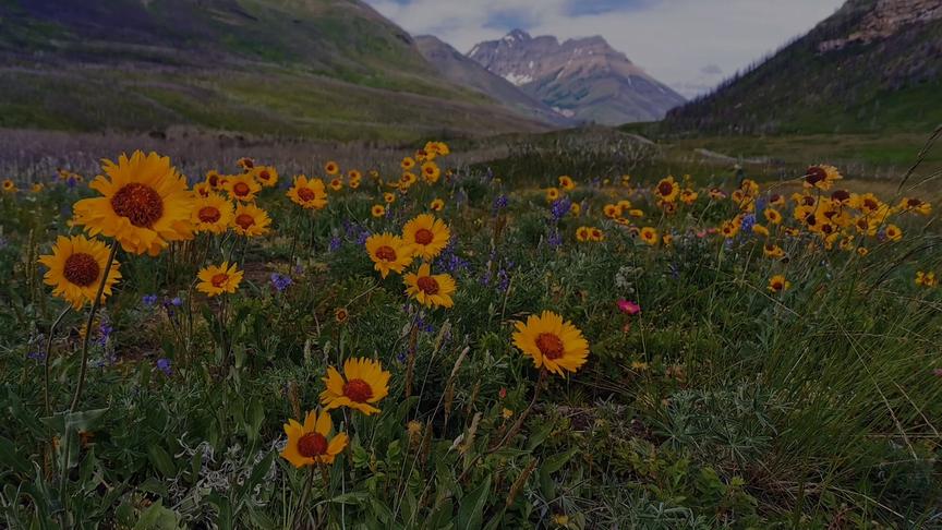 [图]2020.7.10-13 Waterton lake 第一次住full service房车营地