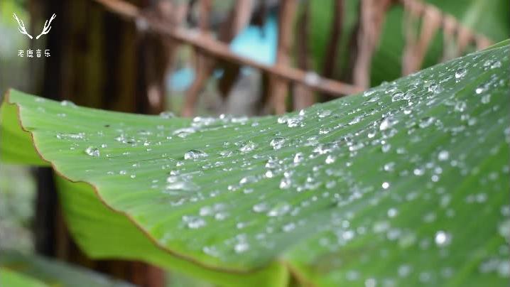 [图]世界经典轻音乐《雨的印记》，超级好听，永久收藏