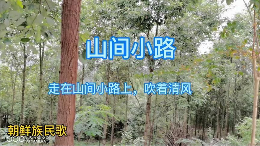 [图]这是金曼演唱的《山间小路》那天在山间行走时，这旋律回响在心中