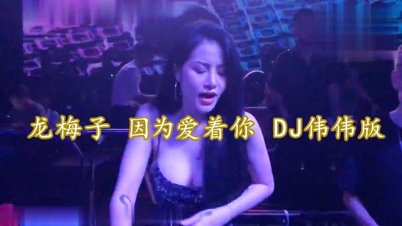 [图]伤感DJ《因为爱着你》演唱：龙梅子，词曲：祁隆