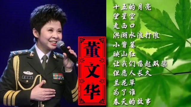 [图]董文华歌曲精选《十五的月亮》《望星空》