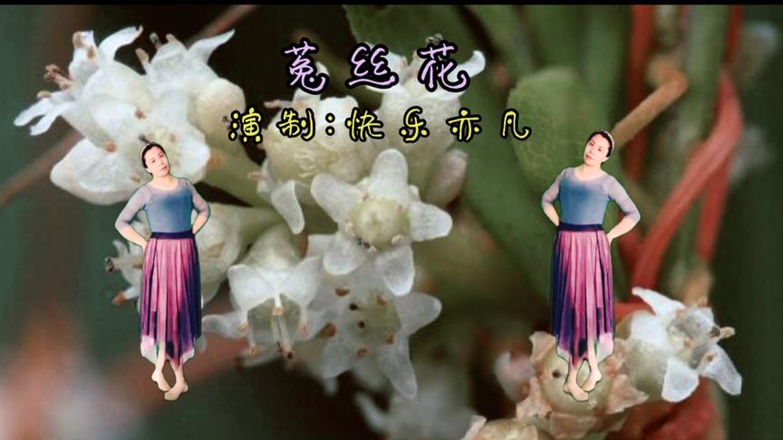 [图]分享一首好听，轻松，愉悦的歌《菟丝花》