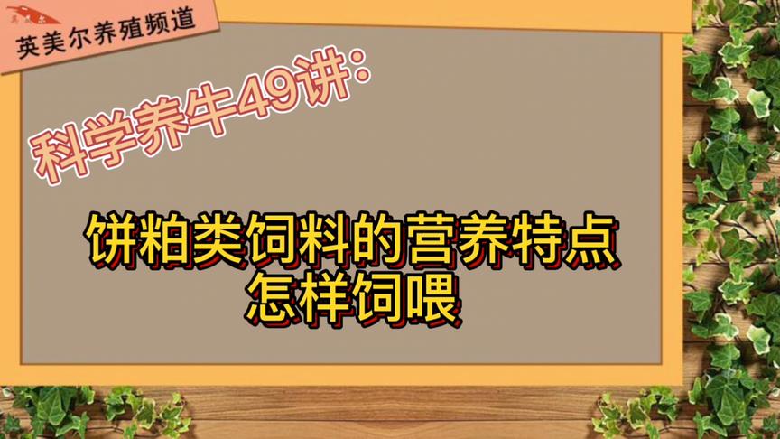 [图]科学养牛第49讲:饼粕类饲料的营养特点及怎样饲喂