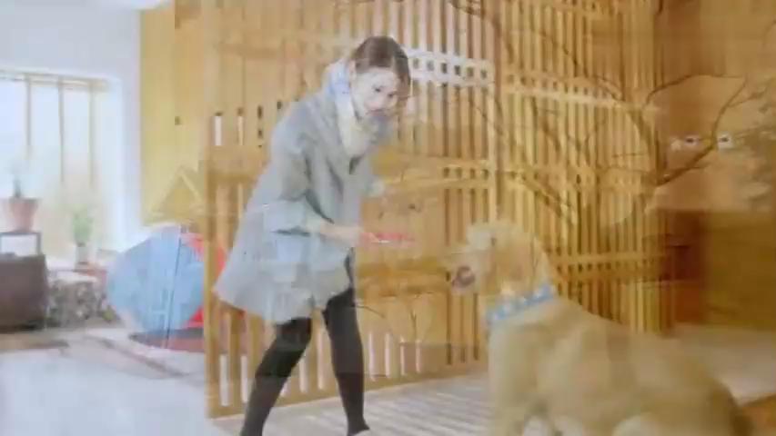 [图]《神犬小七》片尾曲：张碧晨催泪献唱《不要忘记我爱你》MV