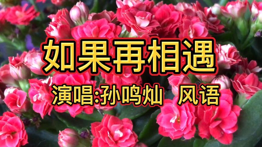 [图]《如果再相遇》如果今生我们还能再相遇，我会穷极一生好好的爱你