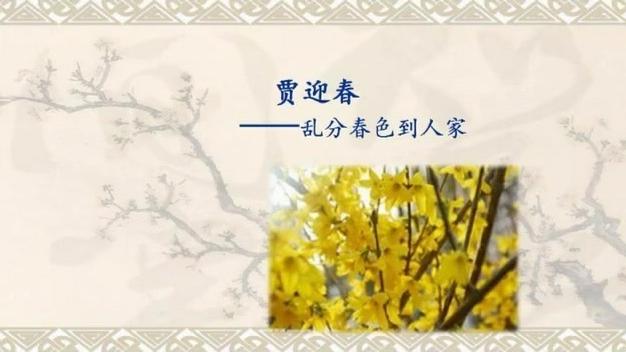 [图]贾迎春：乱分春色到人家 ‖《红楼十二钗评讲（7）》