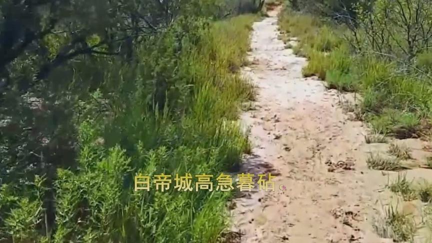 [图]古诗词朗诵《秋兴八首（选二）》作者. 杜甫--玉露凋伤风树林