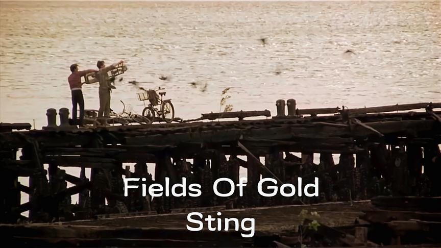 [图]Fields Of Gold/斯汀-欧美经典音乐 视听盛宴