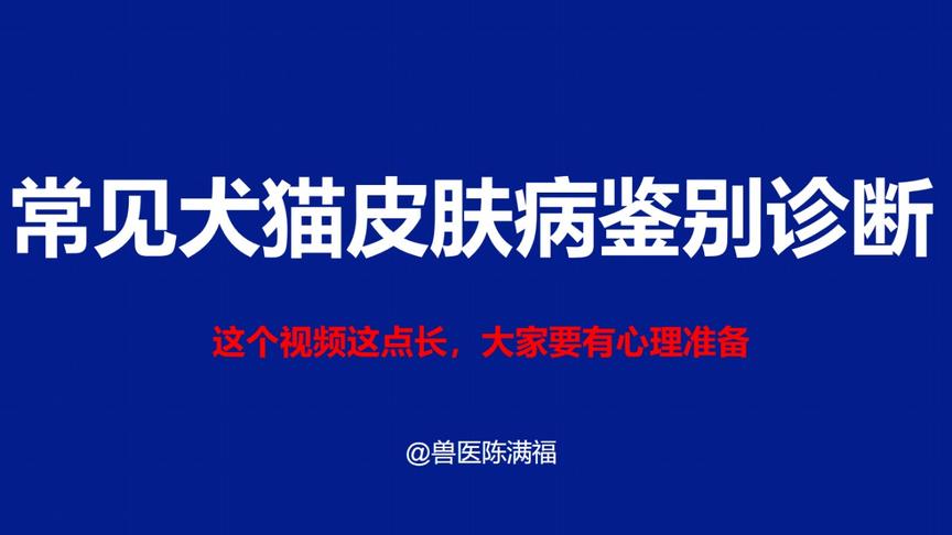 [图]20200618期 兽医陈满福告诉你常见犬猫皮肤病鉴别诊断方法