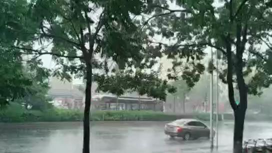 [图]狂风暴雨中最爱你的人是谁