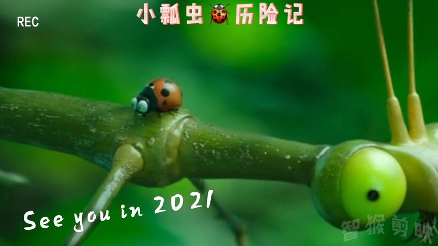 [图]#昆虫总动员2#来自远方的后援军！昆虫世界一方有难，八方支援！